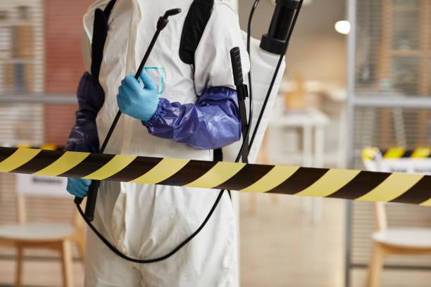 Professional Biohazard technician working in Reno, TX